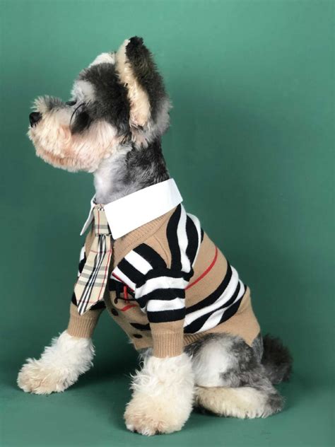 burberry puppy clothes